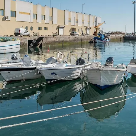 Apartman Floating Over The Sado - Arrabida, Beaches & Town *